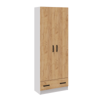 Прихожая Кевин шкаф 2х-ств. белый/дуб крафт золотой