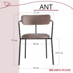 Комплект из 2-х стульев Ant латте