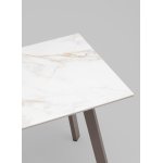 Стол Райли нераскладной 100*70*75 см столешница МДФ керамика Carla Larkin глянец