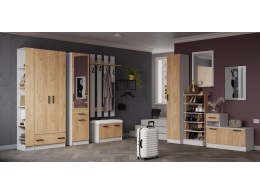 Прихожая Кевин шкаф 2х-ств. белый/дуб крафт золотой