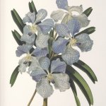 Сет из шести постеров