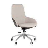 Кресло офисное TopChairs Soulo светло-серый, серый