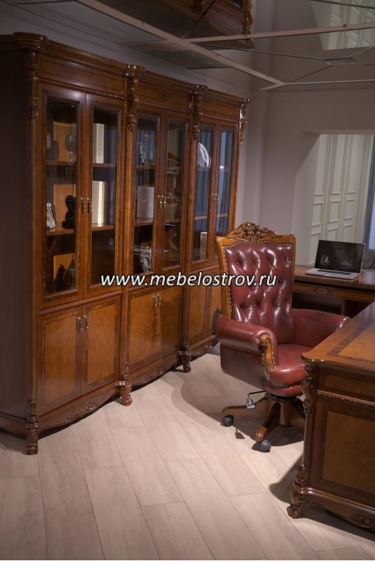 ANGELINA (АНГЕЛИНА) Библиотека 6-и дверная 