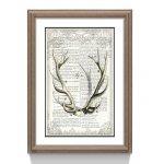 Постер IMMAGINE