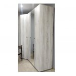 Шкаф для одежды с зеркалом Neo 54, дуб шавиниган