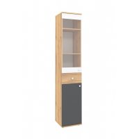 Шкаф МЦН Лойс 82