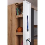 Шкаф МЦН Лойс 85