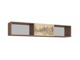 Навесная секция Орион