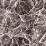 Блюдо Secret De Maison LEAF2 ( mod. 9440 )