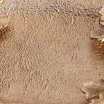 Поднос Secret De Maison MAPLE2 ( mod. 9586 ) Поднос Secret De Maison MAPLE2 ( mod. 9586 )