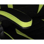 Кресло игровое DOBRIN RICK, черно-светло-зеленая ткань