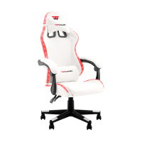 Кресло спортивное TopChairs Druid белый