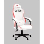 Кресло спортивное TopChairs Druid белый