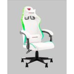 Кресло спортивное TopChairs Druid белый