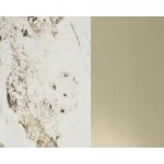 Стол CORNER 120 GLOSS LUXURY PANDORA SOLID CERAMIC / шампань, ®DISAUR