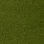 Стул Paola зеленый с жаккардом