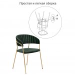 Комплект из 2-х стульев Turin зеленый, золотые ножки