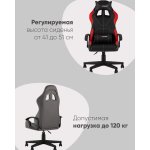 Кресло спортивное TopChairs Wyvern серо-черный